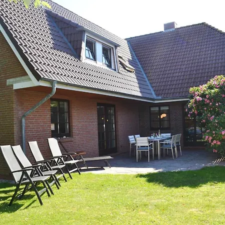 Kegelrobbe Midlum (Schleswig-Holstein)