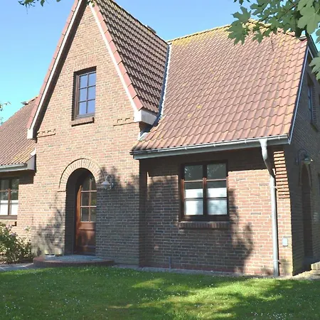 Kegelrobbe Midlum (Schleswig-Holstein)