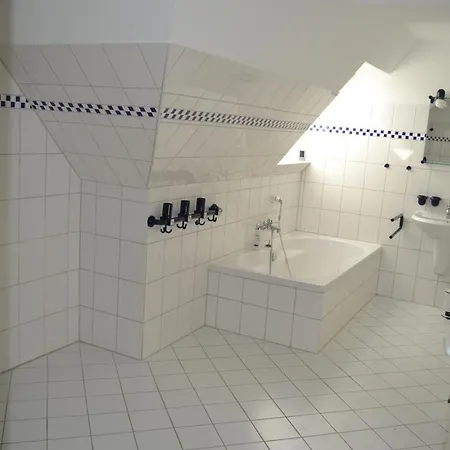 Kegelrobbe