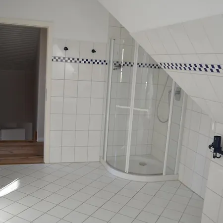 Kegelrobbe * Midlum (Schleswig-Holstein)